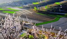 固原最新网红爆料,揭秘网红爆料的神秘魅力！