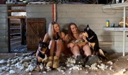 人体农场在线观看,揭秘人体实验背后的惊悚真相