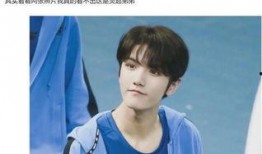 偶像爆料视频大全集免费观看,独家揭秘，免费观看，一网打尽